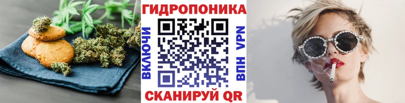 Купить где  Плавск  Canna-Cookies конопля 