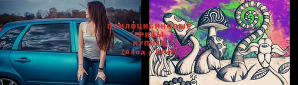 эйфоретик Богданович
