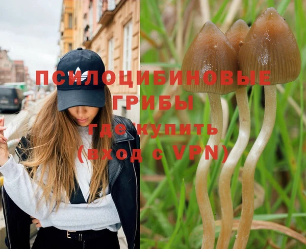 амфетамин Богородицк