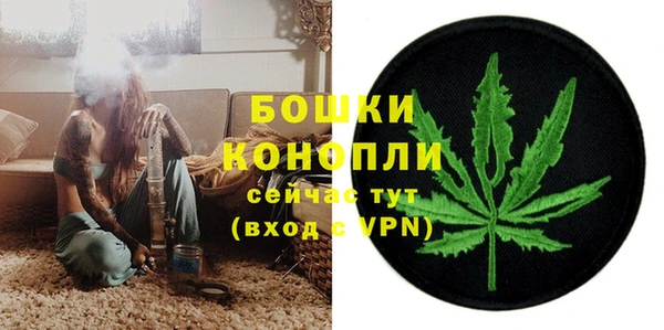 эйфоретик Богданович