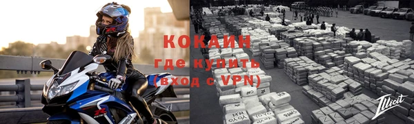 эйфоретик Богданович