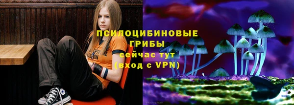 ALPHA PVP Богородск
