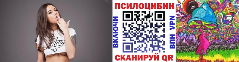 Галлюциногенные грибы Cubensis  Купить закладки  Плавск 